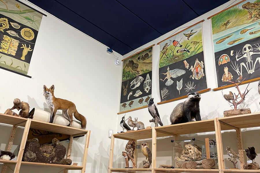 staatsbosbeheer-boswachtershol