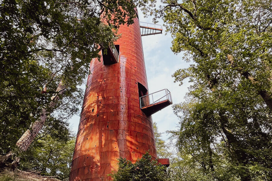 vakantie-drenthe-appelscha-bos