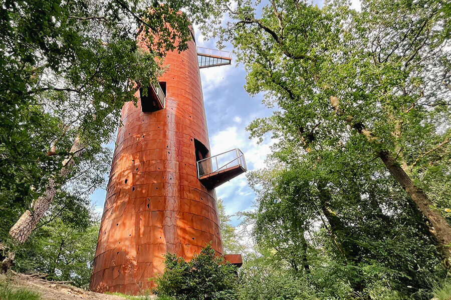 vakantie-drenthe-appelscha-bos