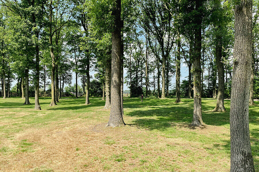 vakantiegeluk-park-drentheland